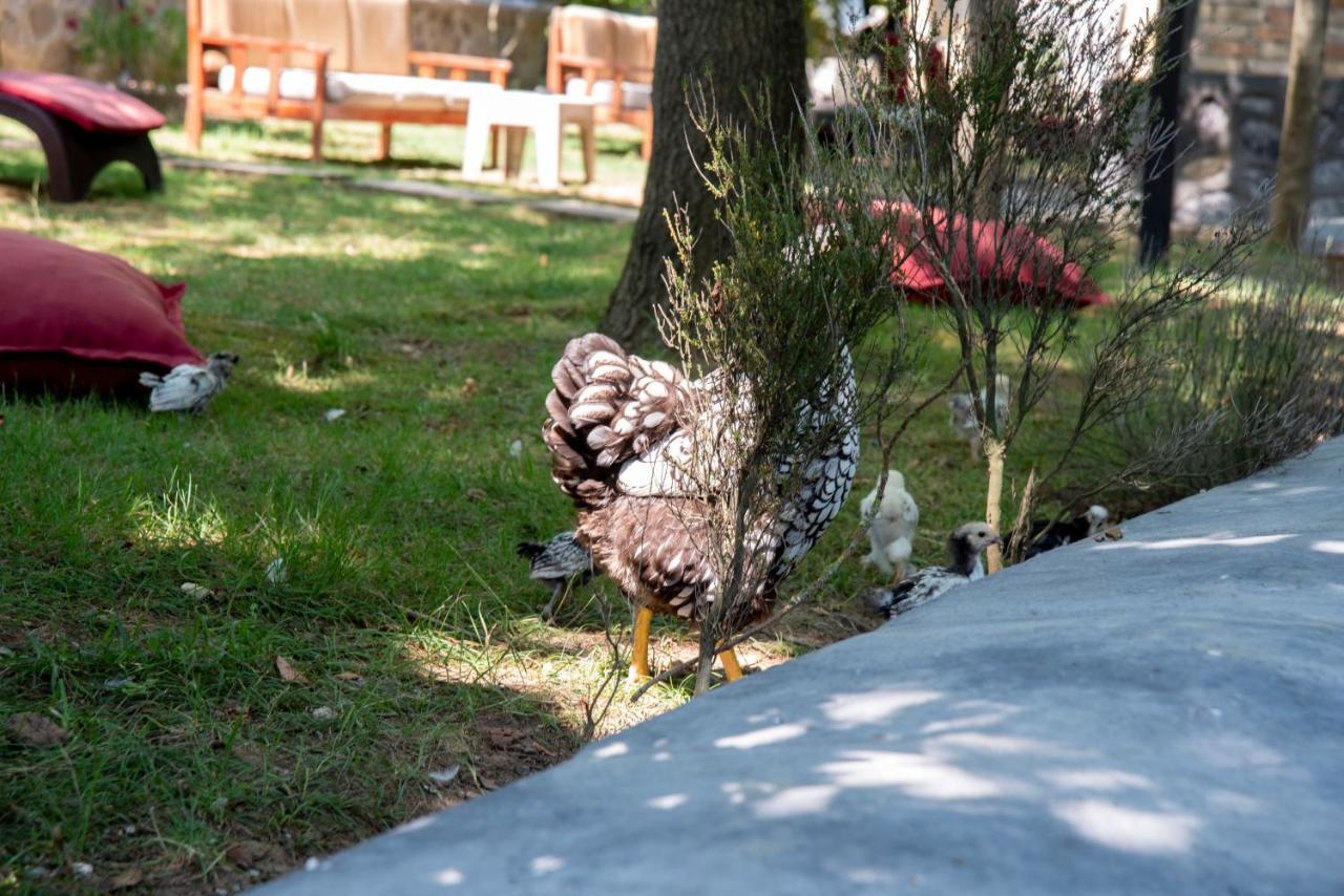 Fener Motel Ağva Esterno foto