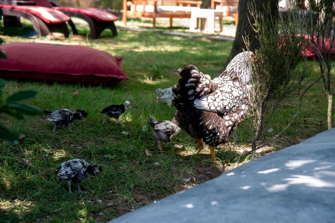 Fener Motel Ağva Esterno foto