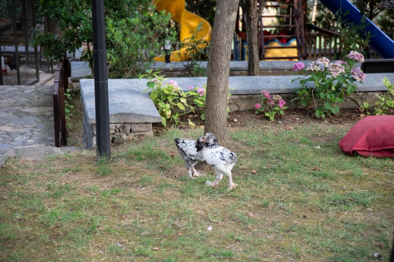 Fener Motel Ağva Esterno foto